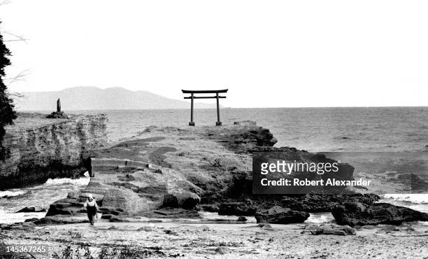 Japanese woman collects seaweed near a torii on Shirahama Beach in Shimoda, Japan.