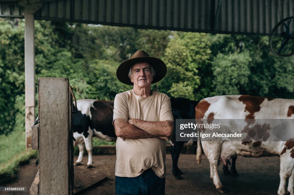 Dairy cow farmer in the corral
