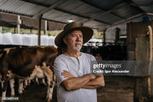 portrait d’un éleveur de bétail senior - rancher photos et images de collection