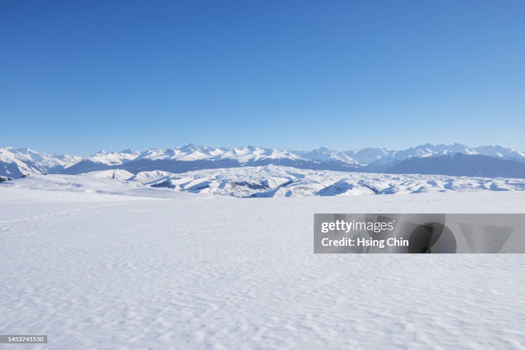 Snow Mountain and Grassland in Winter