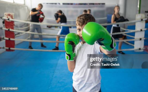 a small boy in green boxing gloves posing in defended stance - kids boxing stock pictures, royalty-free photos & images