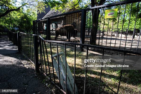 Mykolaiv Zoo During Wartime