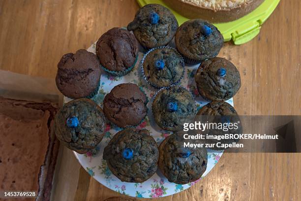 blueberry muffins on a cake buffet, lower saxony, germany - magdalena of saxony fotografías e imágenes de stock