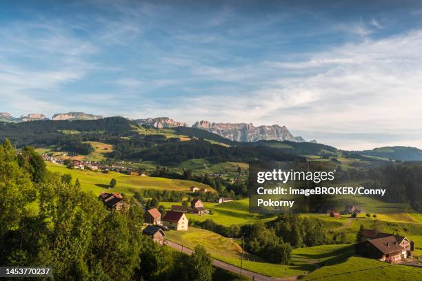 meadows and pastures in appenzellerland, view of the alpstein massif with the saentis, canton appenzell-innerrhoden, switzerland - appenzell innerrhoden stock pictures, royalty-free photos & images
