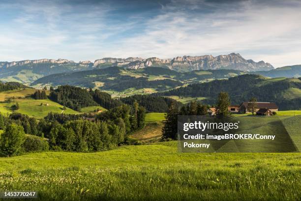 green meadows and pastures in appenzellerland, view of the alpstein massif with the saentis, canton appenzell-innerrhoden, switzerland - appenzell innerrhoden stock pictures, royalty-free photos & images