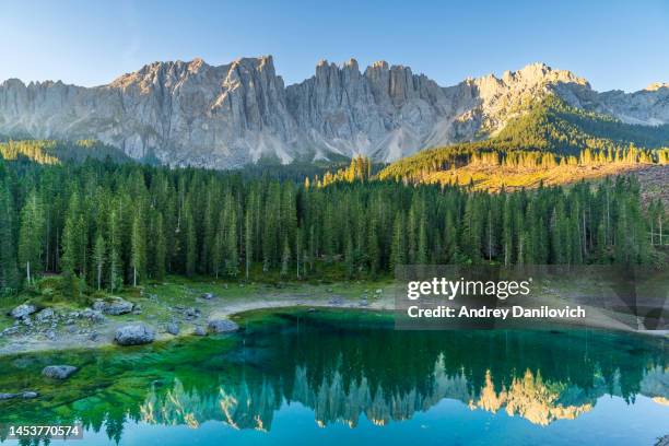 mountain lake carezza surrounded by pine forest and mountains. - pine woodland stock pictures, royalty-free photos & images