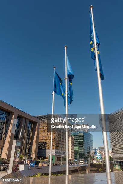 european union flags at schuman square in the european district of brussels - quartier européen bruxelles photos et images de collection