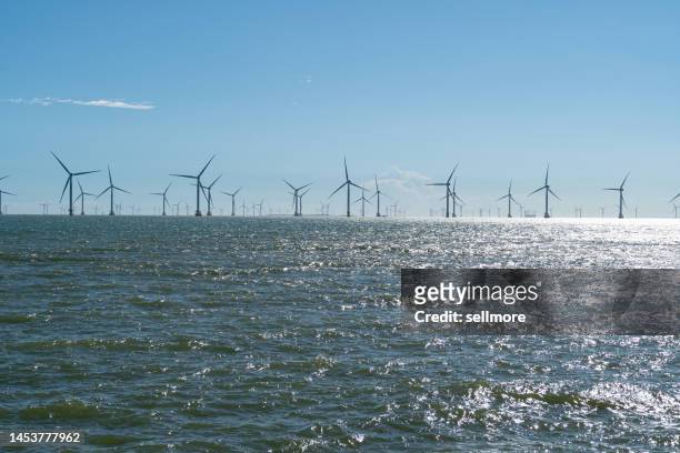 overlooking the offshore wind farm - sea level 個照片及圖片檔