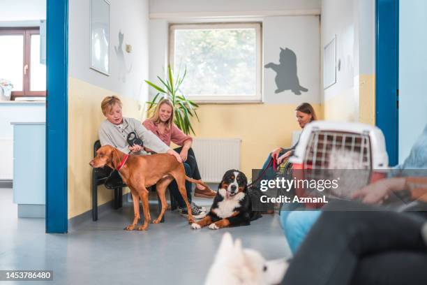 multiethnische menschen im wartezimmer des tierarztes - wartezimmer stock-fotos und bilder