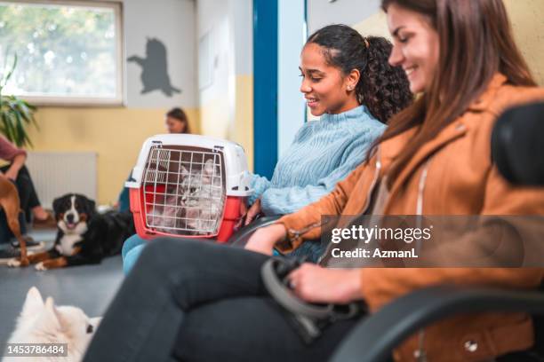 multiracial people in the waiting room at the veterinarian - pet carrier stock pictures, royalty-free photos & images