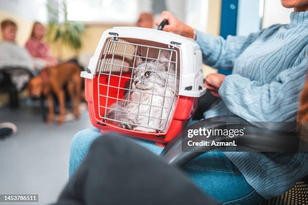 female cat owner waiting at the veterinarian - pet carrier stock pictures, royalty-free photos & images