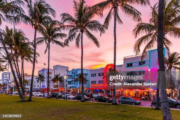 neon illuminated ocean drive at sunset, south beach, miami, usa - south beach photos et images de collection