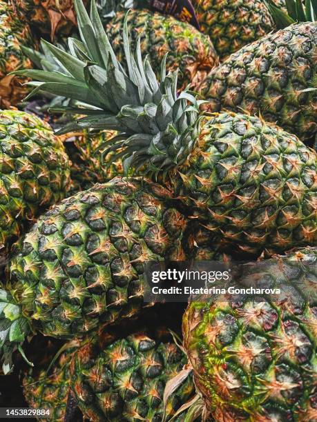 a lot of pineapples on the shelf in the store. pineapple background - khaki green stock pictures, royalty-free photos & images