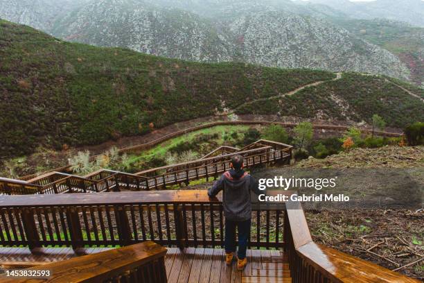 rear view of man standing at passadiços de mondego - mondego stock pictures, royalty-free photos & images