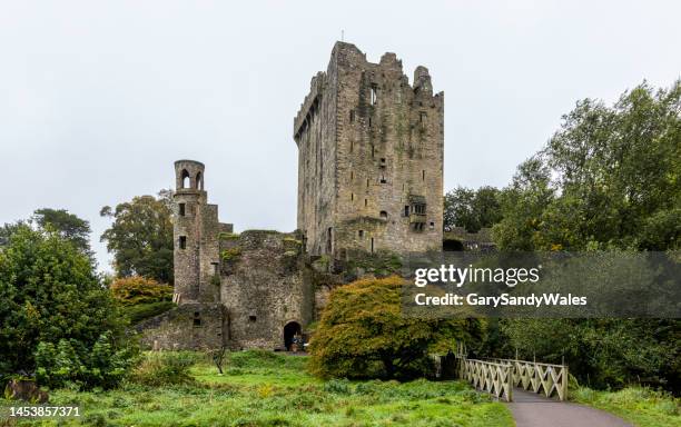 blarney castle is a medieval stronghold in blarney, near cork, ireland. - blarney stone bildbanksfoton och bilder