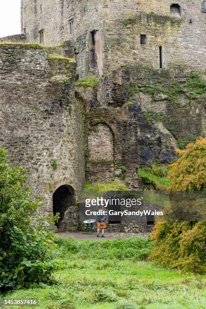 blarney castle is a medieval stronghold in blarney, near cork, ireland. - blarney stone bildbanksfoton och bilder