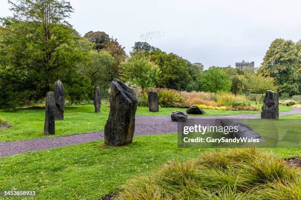 the seven sisters stone circle with the blarney castle in the distance, ireland. - blarney castle stock pictures, royalty-free photos & images