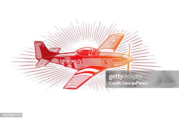 p-51 mustang fighter plane - naval oranges stock illustrations