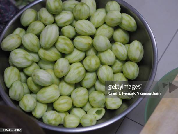 mangifera indica l. var. anacardiaceae small green mango - mango pickle stock pictures, royalty-free photos & images