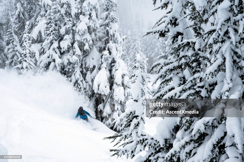 Männliches Backcountry Snowboarden frischer Powder