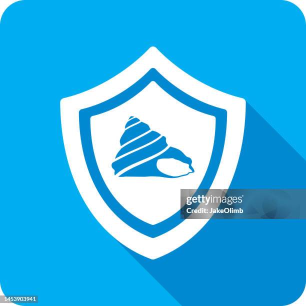 shield seashell cone icon silhouette - water pool stock illustrations
