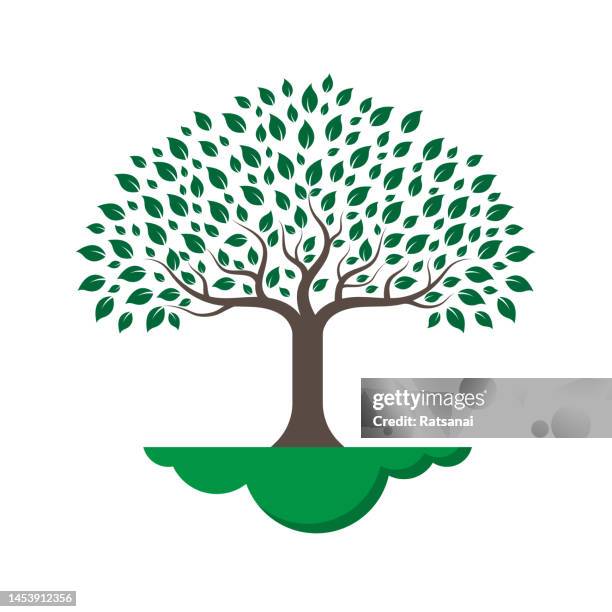 tree icon - tree logo stock illustrations