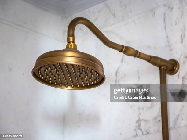 vintage gold brass shower head in old-fashioned bathroom - duschkopf stock-fotos und bilder