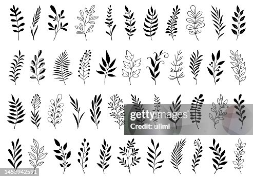 Hand drawn plants Hand drawn plants