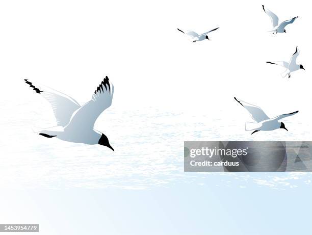 seagulls over the sea - sea bird stock illustrations