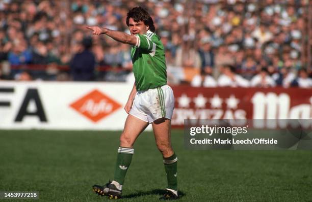 April 1989, Dublin - FIFA World Cup - Republic of Ireland v Spain - Ray Houghton of Ireland.