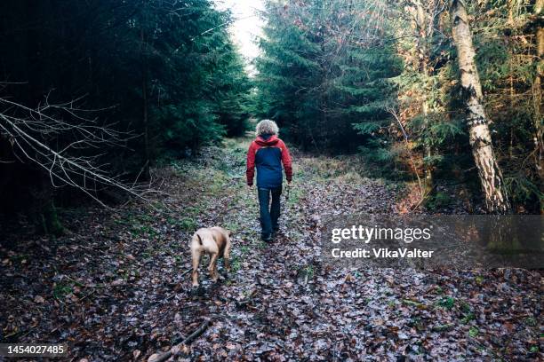 man with a dog in the forest - middle age man and walking the dog stockfoto's en -beelden