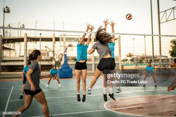 8.507 fotos e imágenes de Red De Voleibol - Getty Images