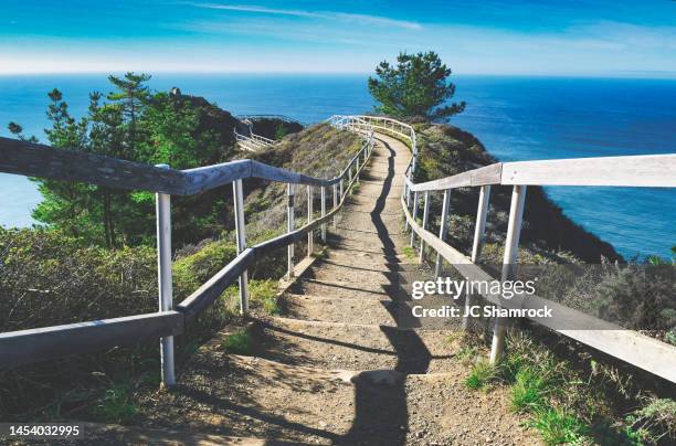 muir beach overlook staircase - uitzichtpunt stockfoto's en -beelden
