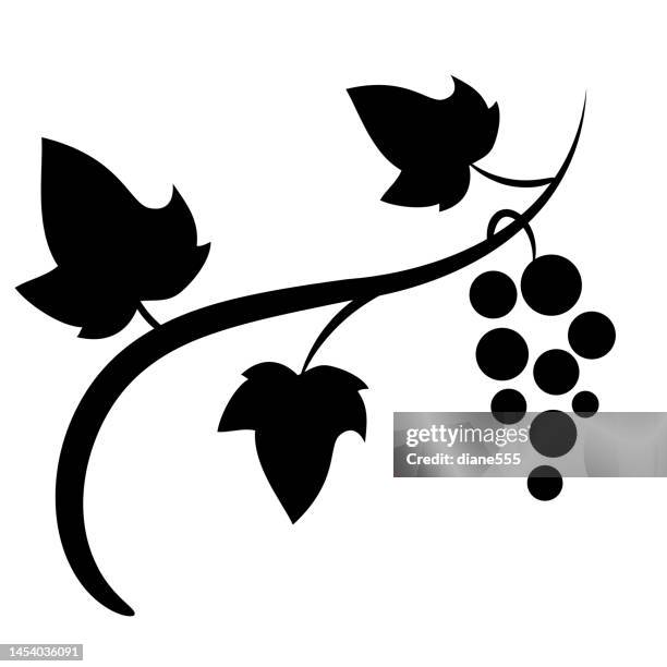 grapevine design ornament on a transparent background - wine logo stock illustrations