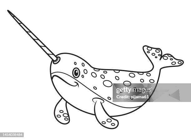 black and white narwhal - narwhal stock illustrations