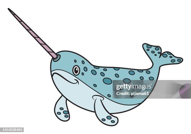 cute narwhal - narwhal stock illustrations