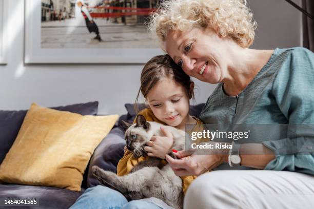 senior woman and her granddaughter taking care of a cat - old lady cat stock pictures, royalty-free photos & images