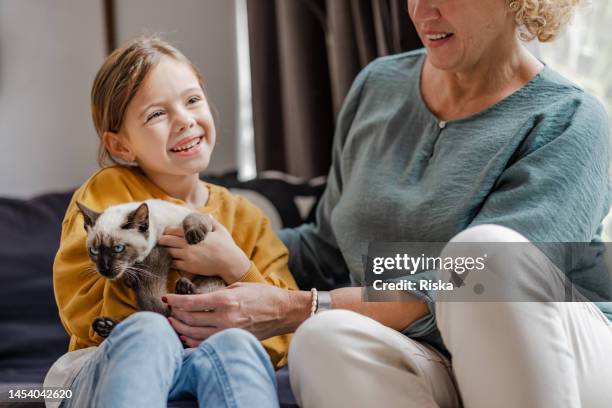 living with pets. family moments. - holding cat imagens e fotografias de stock