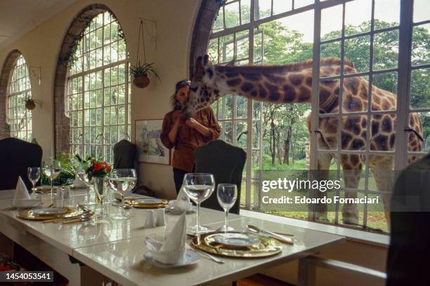 American conservationist and hotel manager Bryony Anderson with a giraffe in the dining room of the Giraffe Manor Hotel, Nairobi, Kenya, April 4,...