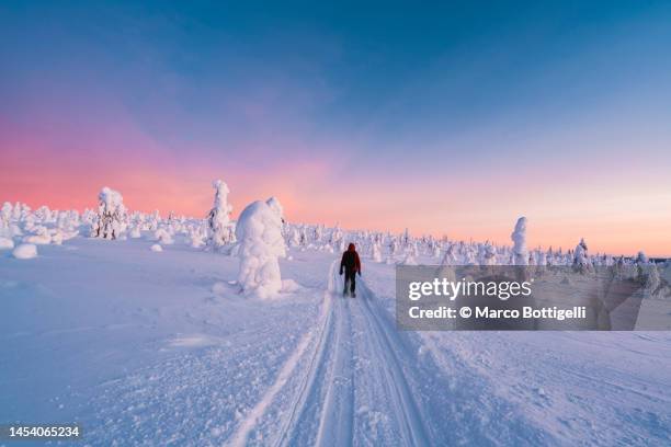 person snowshoeing in lalpand at dawn - finnish culture stock pictures, royalty-free photos & images