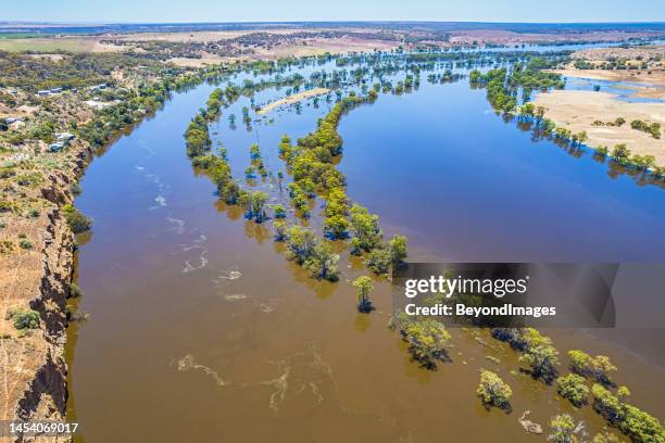 aerial view of the flooding river murray and floodplains near walker flat in south australia. - south australia copy space stock pictures, royalty-free photos & images