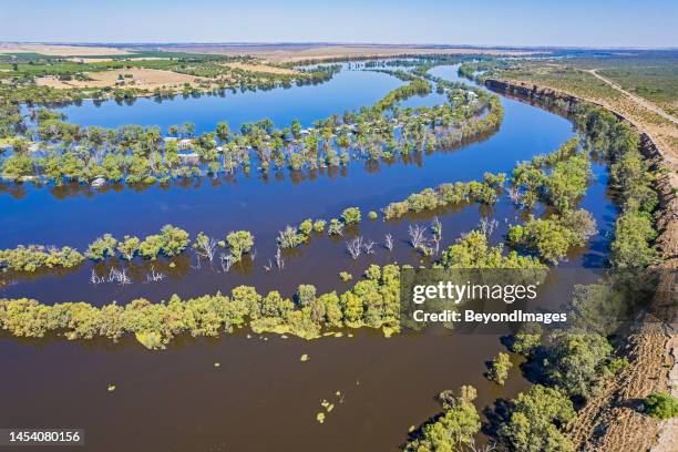 aerial view of the flooding river murray and floodplains at swan reach in south australia. - oceanië stockfoto's en -beelden