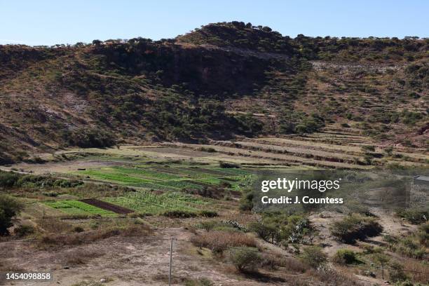 Farning Plot 507 20230103 Photos and Premium High Res Pictures - Getty Images