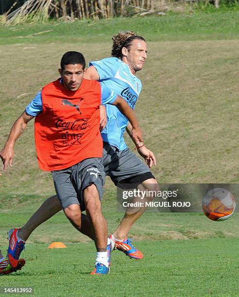 Footballers Walter Gargano and Diego Forlan take part in a training session of the Uruguayan national team at the Uruguayan Football Association's...