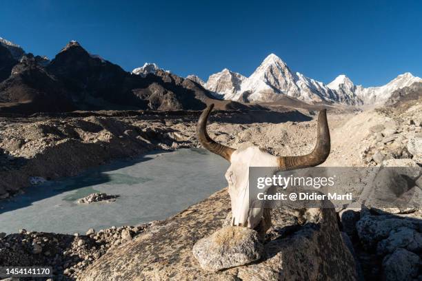 ngozumpa glacier in gokyo valley in nepal - munt everest deatha stock-fotos und bilder