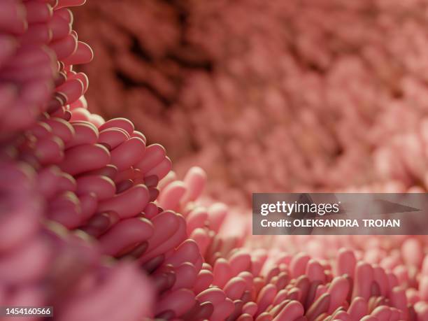 human close-up inner view of intestine. 3d render of digestive anatomy - intestino delgado - fotografias e filmes do acervo