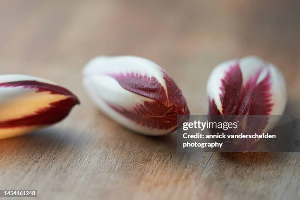 radicchio - radicchio stock pictures, royalty-free photos & images
