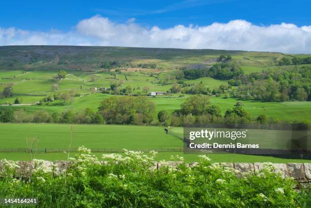 swaledale, dales national park, near grinton, north yorkshire, england, uk - richmond yorkshire stock pictures, royalty-free photos & images