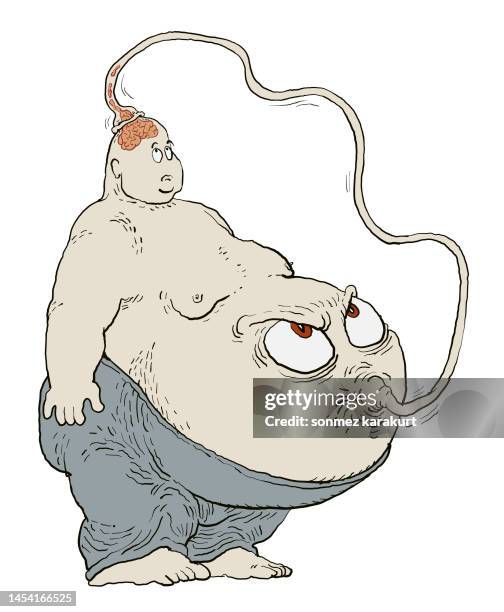 ilustrações de stock, clip art, desenhos animados e ícones de fat obese man's belly - sistema reprodutor feminino