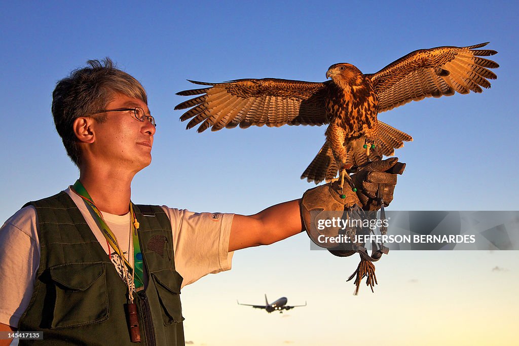 Douglas Kajiwara, of Hayabusa falconry c